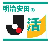 PDF内の画像（写真・図）
