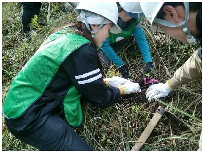 PDF内の画像（写真・図）