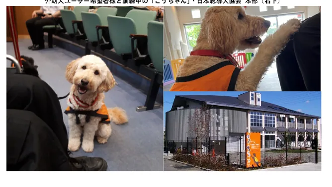 PDF内の画像（写真・図）