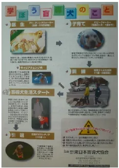 PDF内の画像（写真・図）