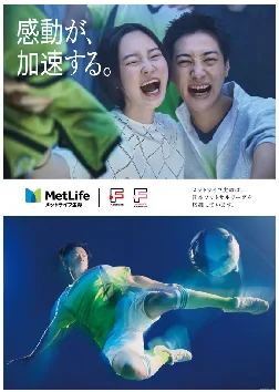 PDF内の画像（写真・図）