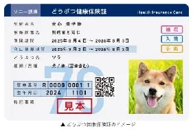 PDF内の画像（写真・図）